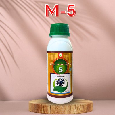 M - 5