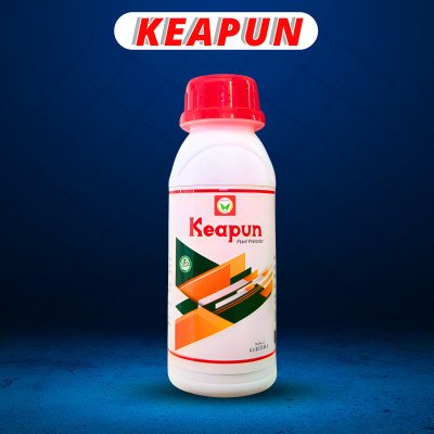 Keapun